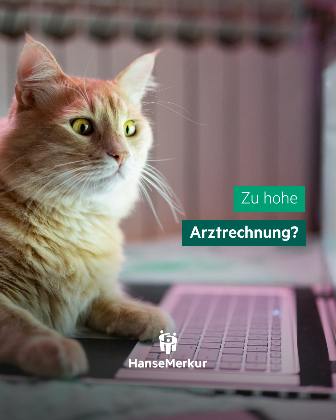 Home 4 Arztrechnung